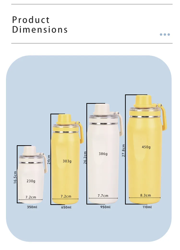 DT3506 DT6503 DT9502- Space Flask with Handle and Dust Cover