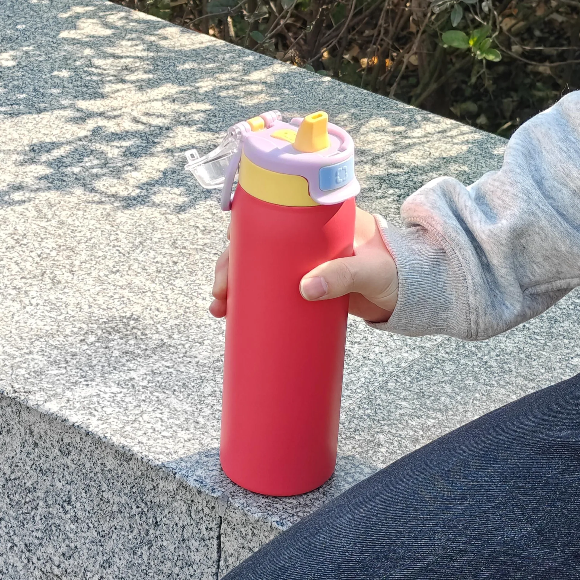 DT6502 DT9501- double wall stainless steel bottle with press bounce handle lid