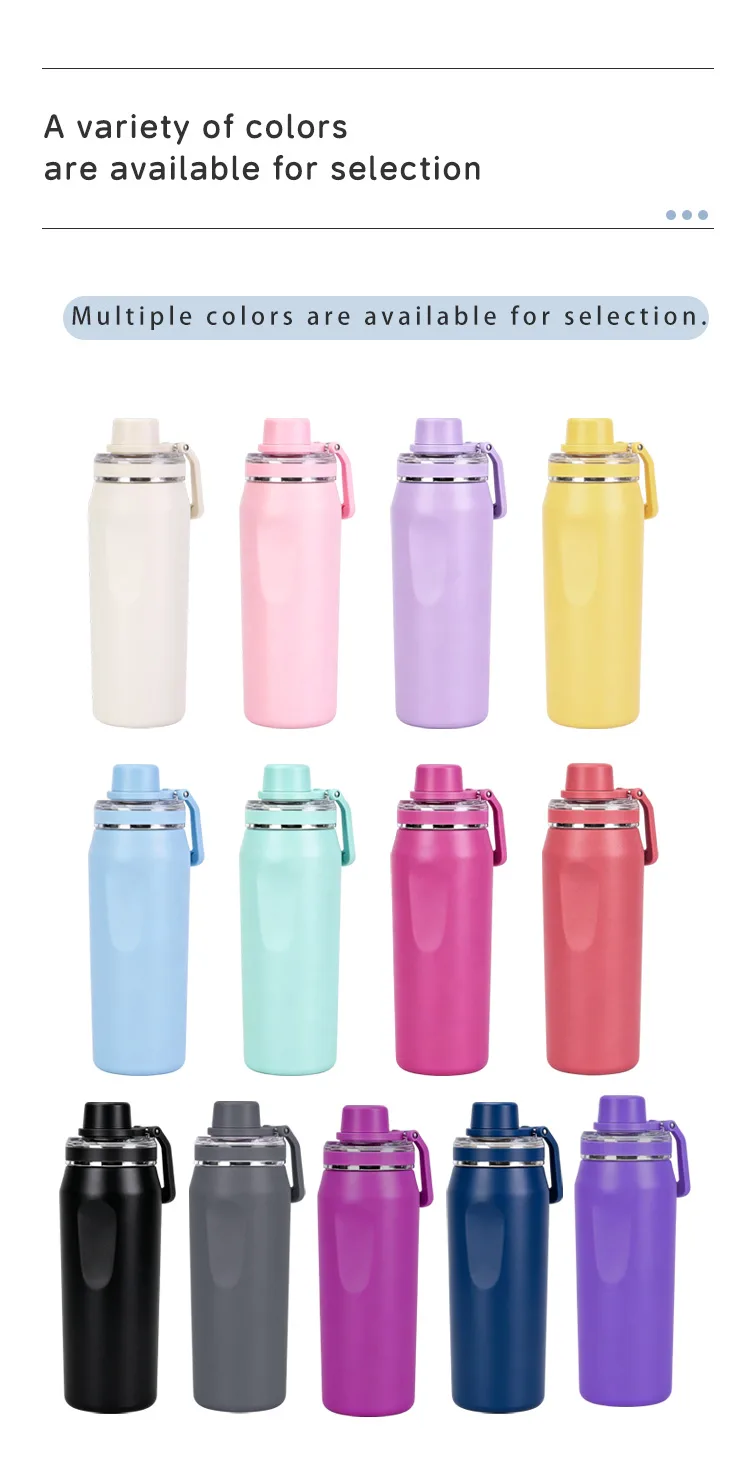 DT3506 DT6503 DT9502- Space Flask with Handle and Dust Cover