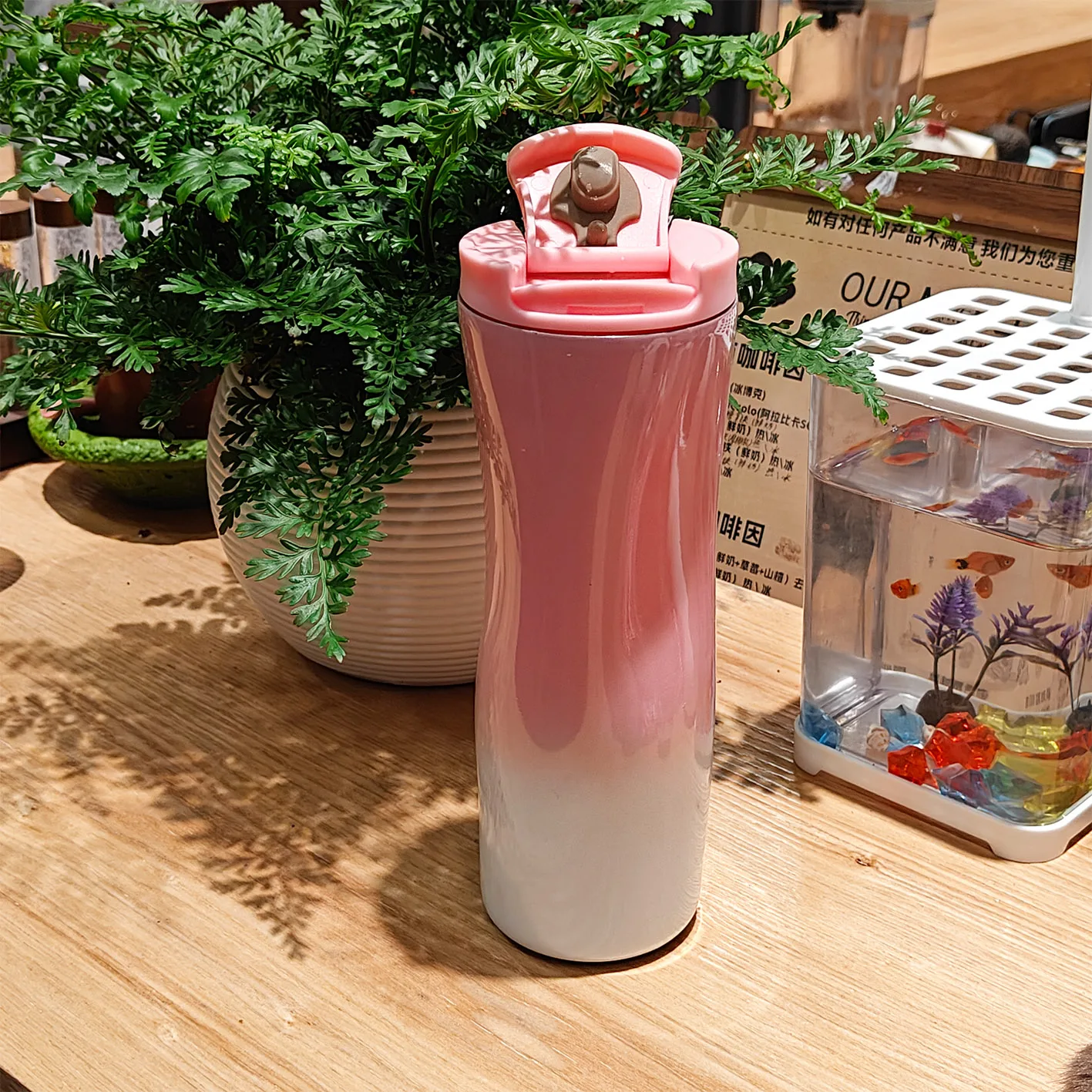 DT5040- Gradient water cup