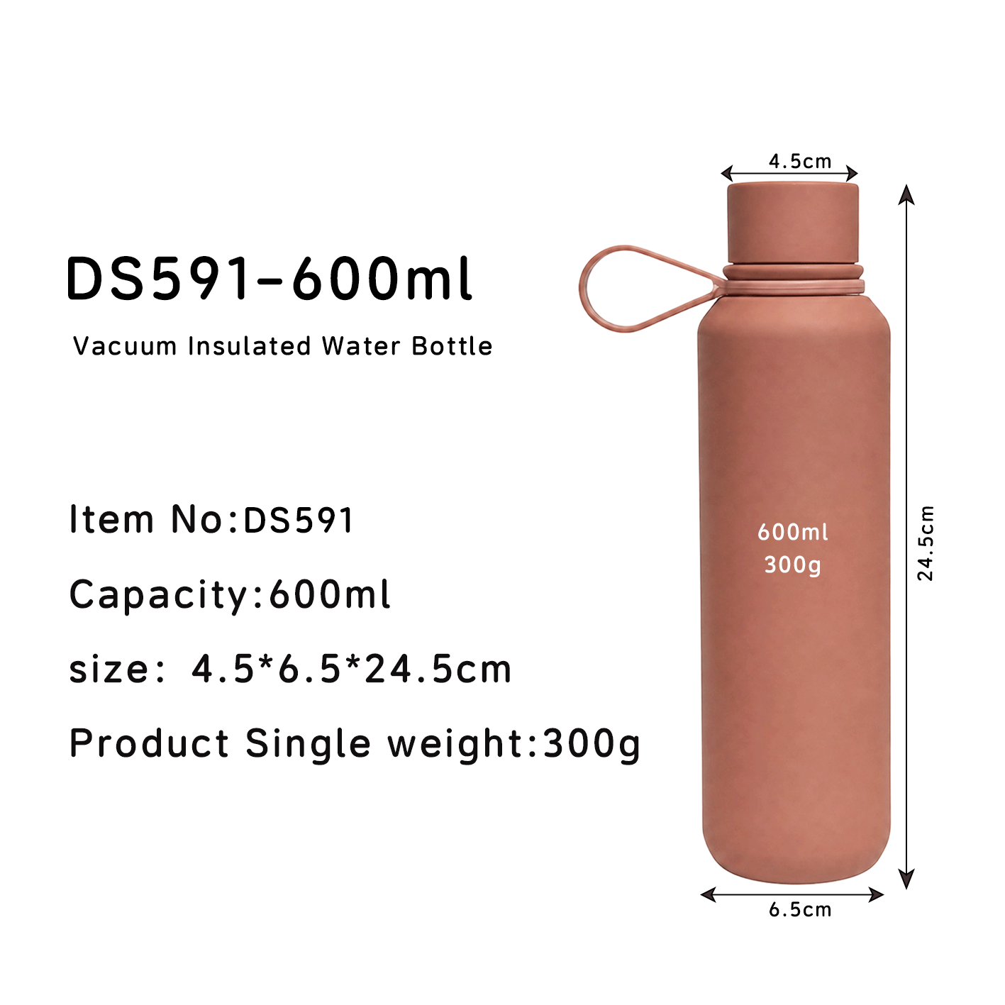 DS591