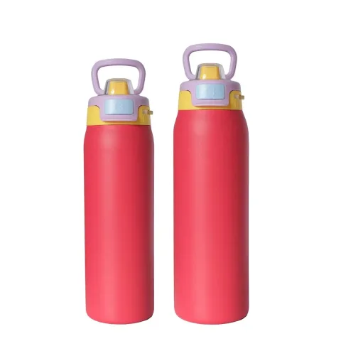 DT6502 DT9501- 650ml/950ml Double Wall Stainless Steel Bottle with Handle Lid