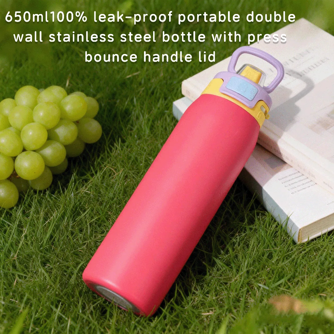 DT6502 DT9501- double wall stainless steel bottle with press bounce handle lid