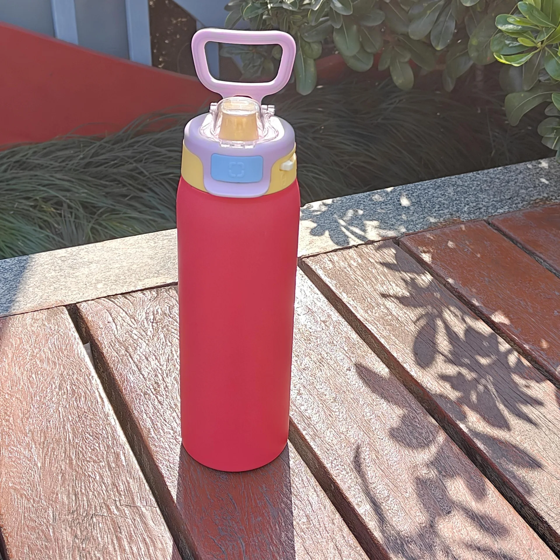 DT6502 DT9501- double wall stainless steel bottle with press bounce handle lid